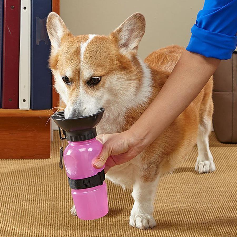 Doggy bottle