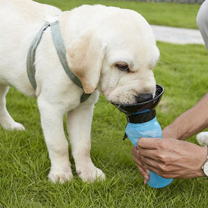 Doggy bottle