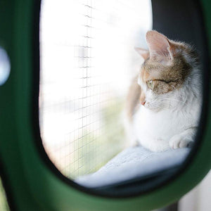 Cat Window Bed